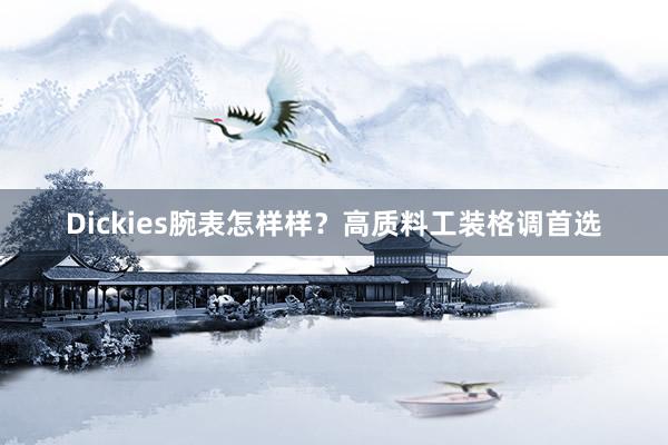 Dickies腕表怎样样？高质料工装格调首选