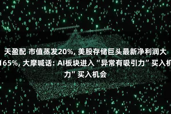 天盈配 市值蒸发20%, 美股存储巨头最新净利润大涨165%, 大摩喊话: AI板块进入“异常有吸引力”买入机会